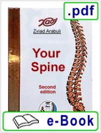Your spine